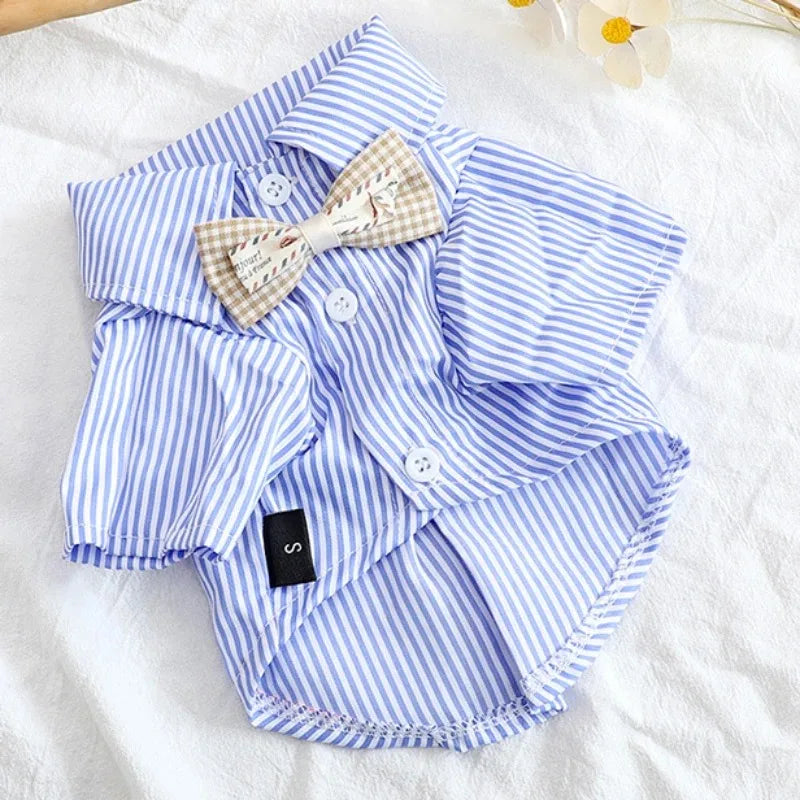 Vêtements d'été pour chiots - Chemise et chemisier pour chien, vêtements de printemps pour animaux de compagnie