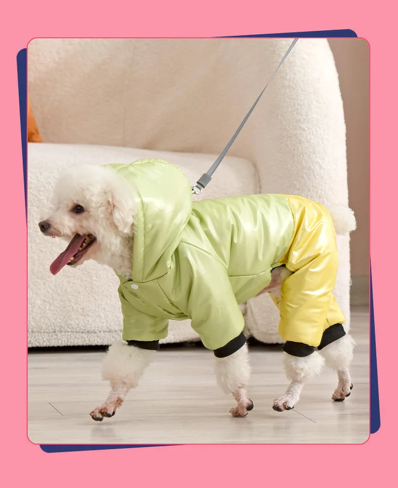 Waterproof Winter Down Hoodie Jacket for Small Dogs