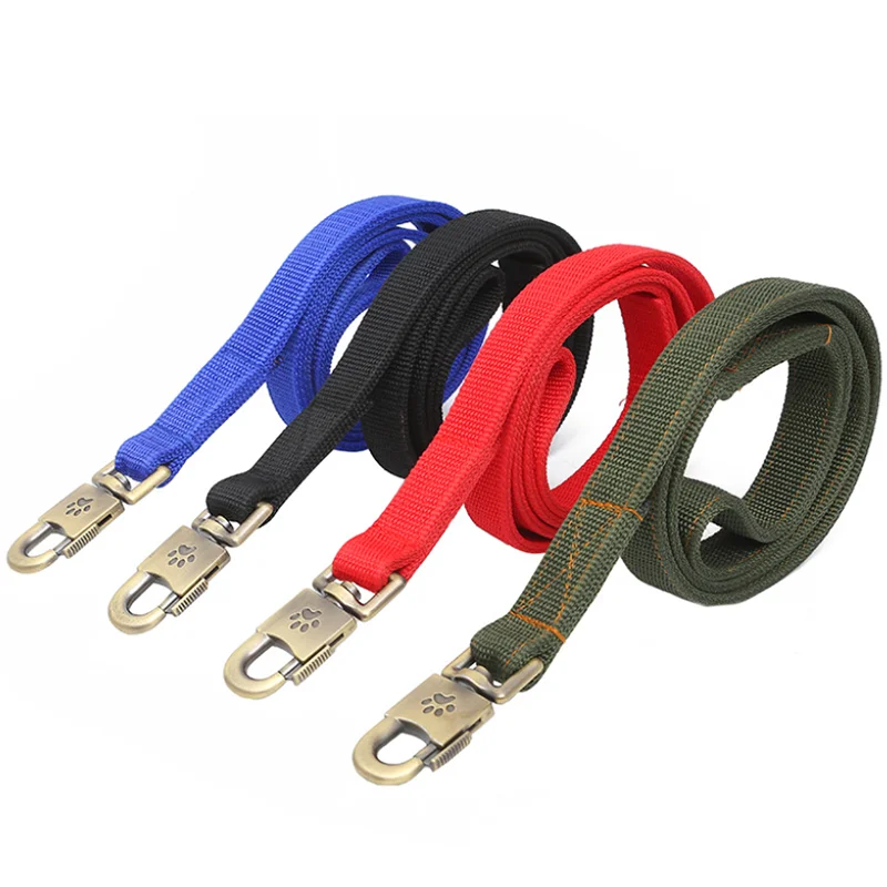 Ensemble laisse et collier pour chien en nylon robuste