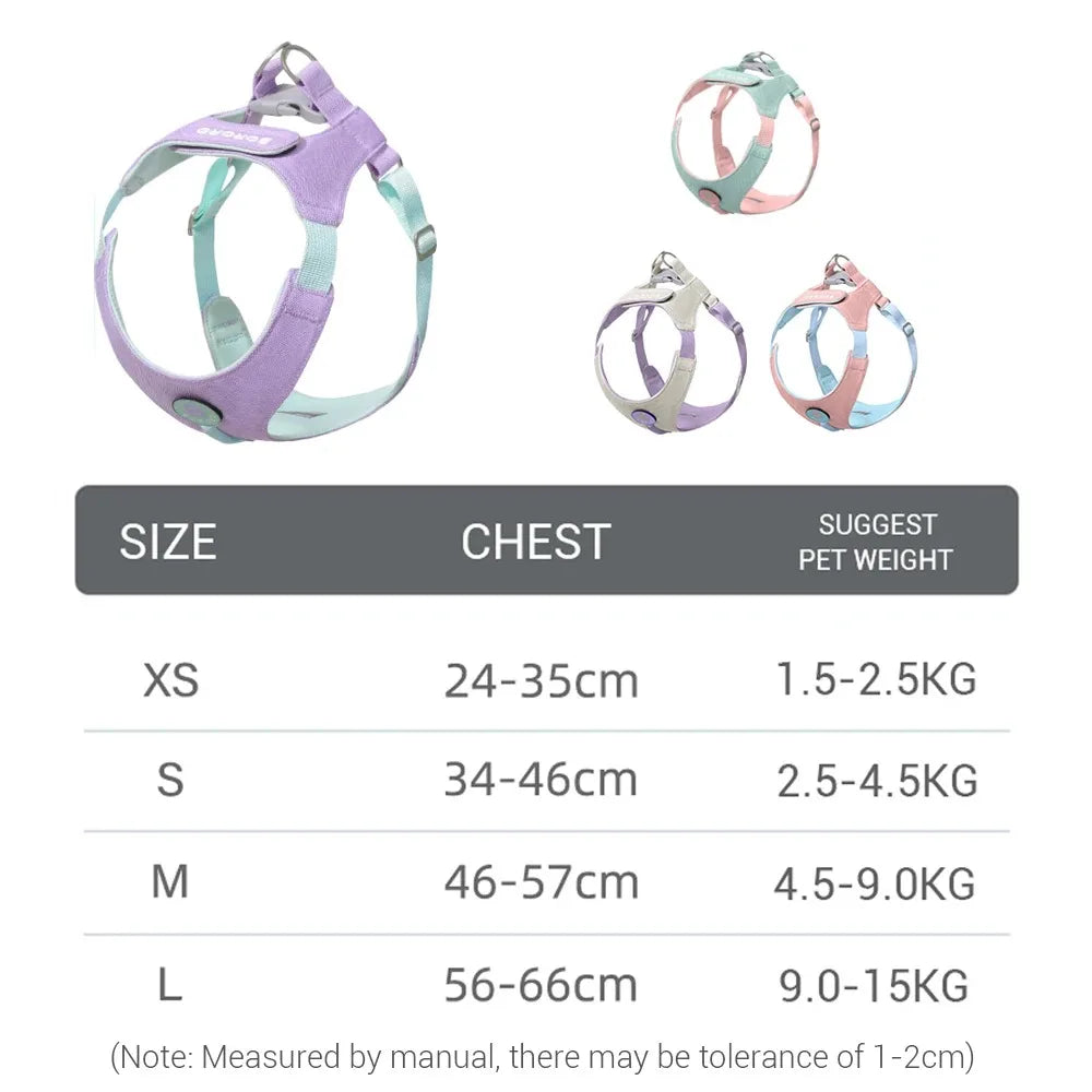 Ensemble Collier et Laisse pour Chien - Harnais de Poitrine pour Petits Chiens