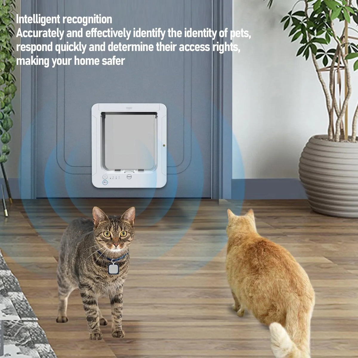 Collar-Activated Smart Cat Flap Door