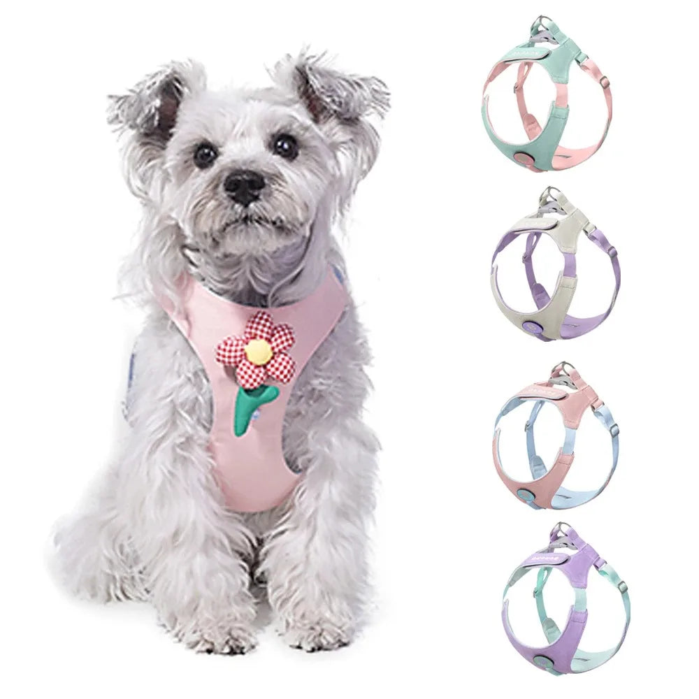 Ensemble Collier et Laisse pour Chien - Harnais de Poitrine pour Petits Chiens