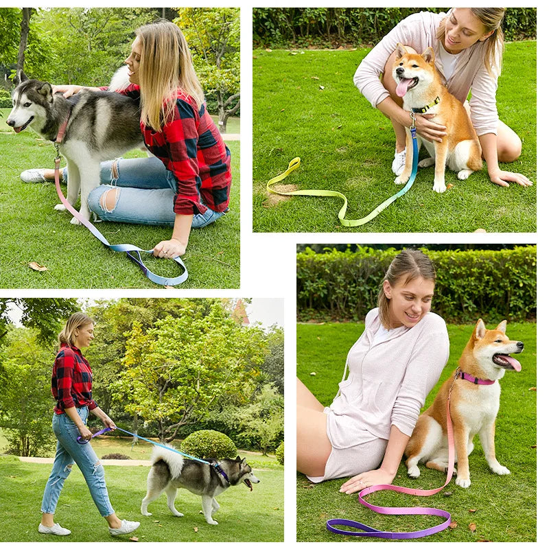 Ensemble Collier et Laisse Ajustables pour Chien