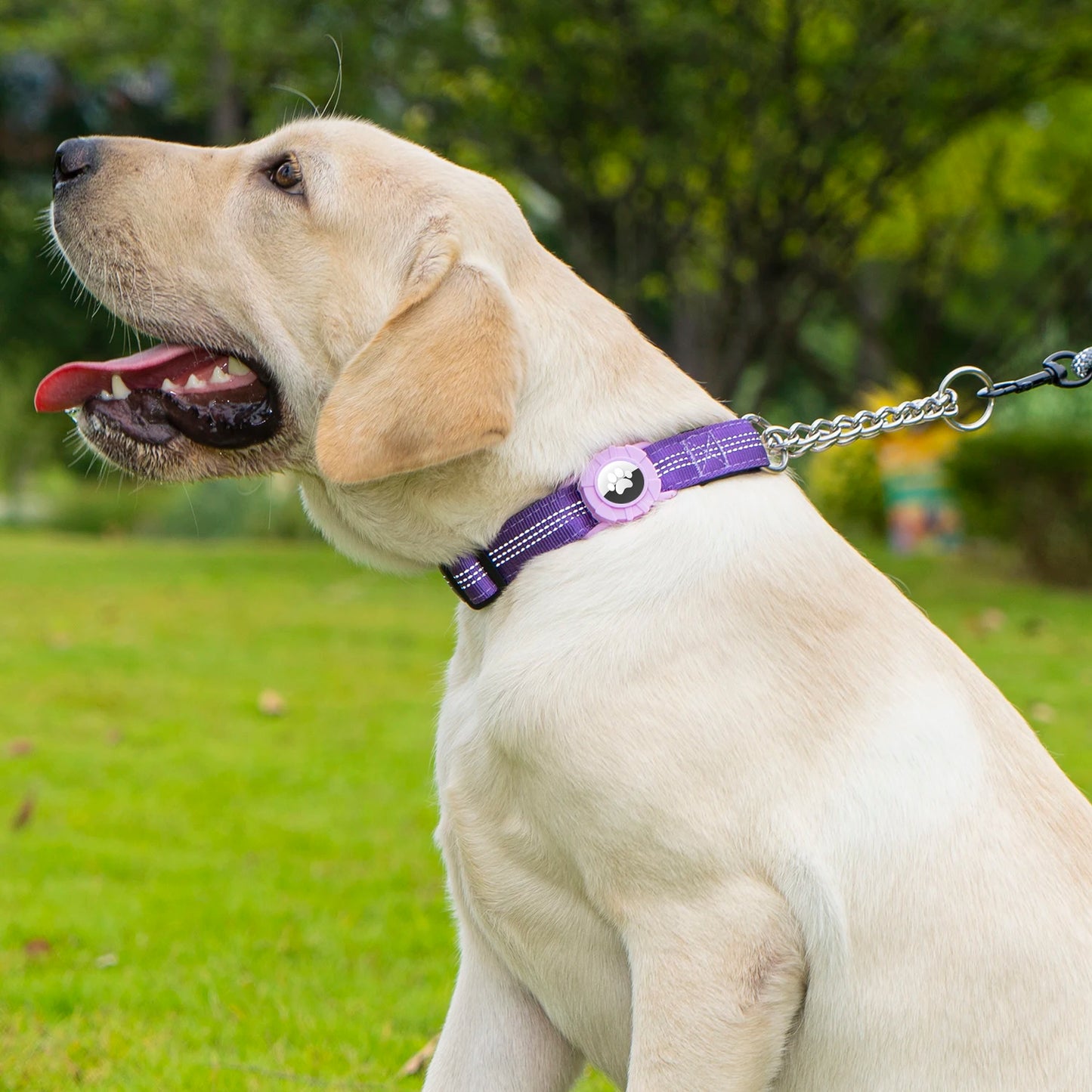 Collier réfléchissant pour chien avec support AirTag et boucle à dégagement rapide