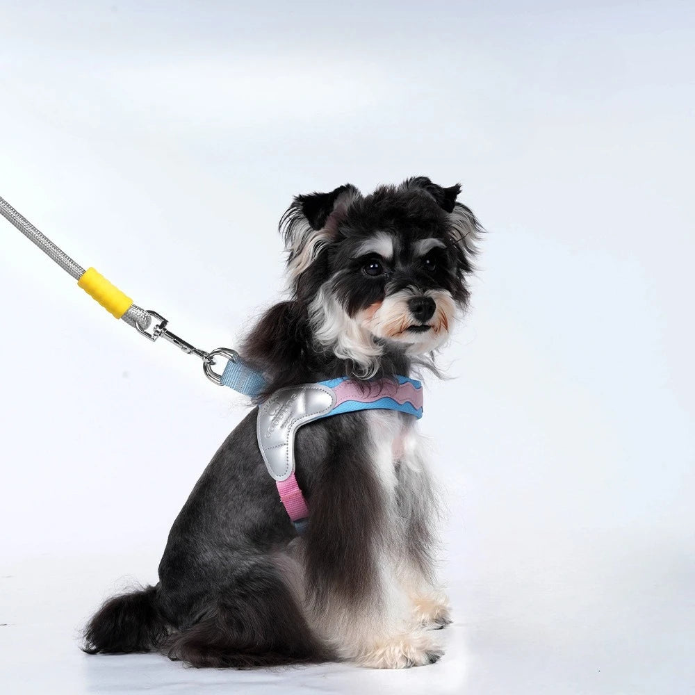 Adjustable Reflective Vest Harness for Small Dogs & Cats