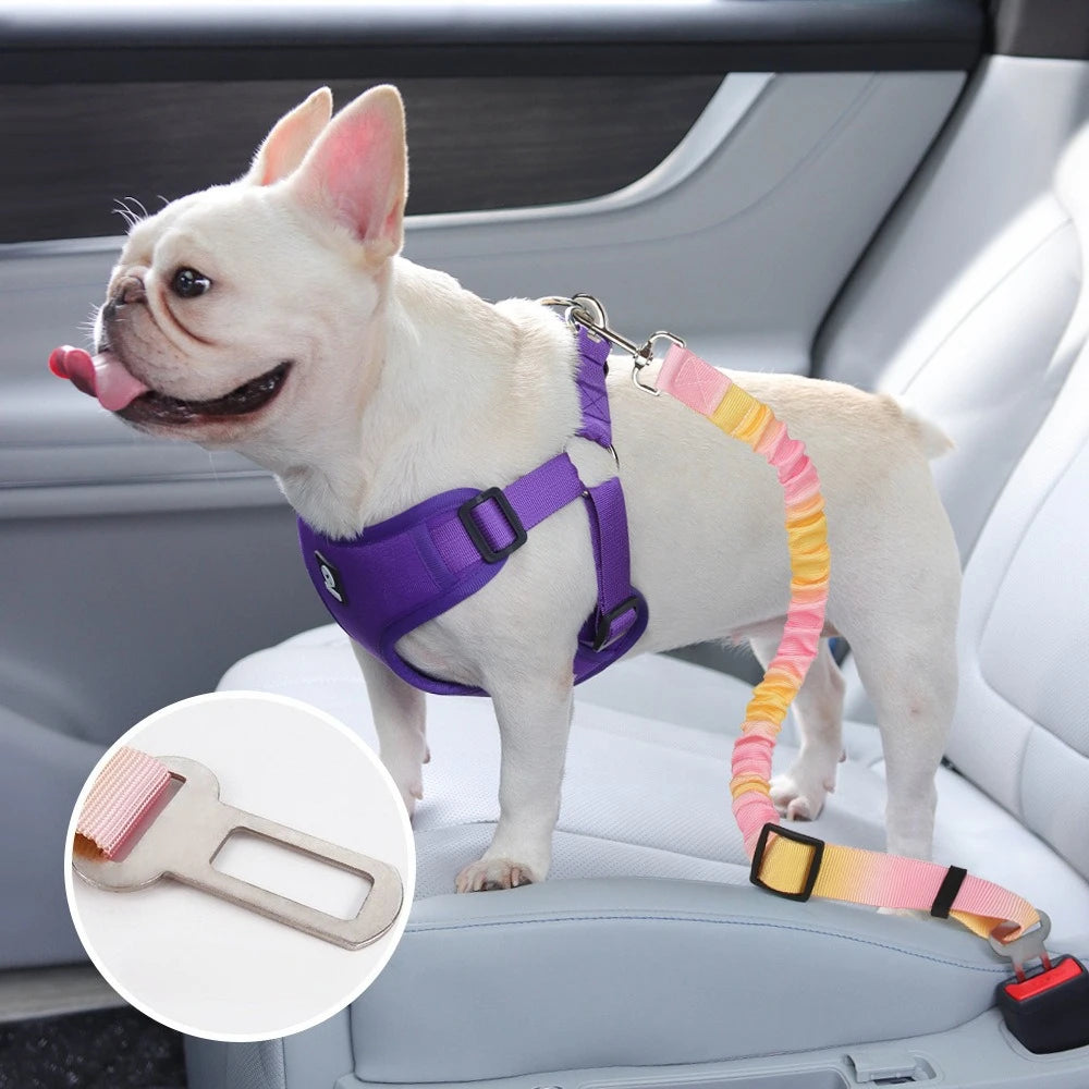 Harnais de ceinture de sécurité réglable pour chien