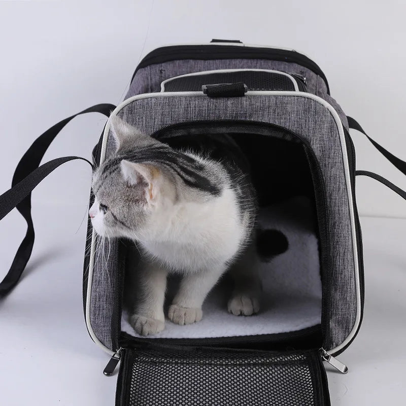 Foldable Pet Travel Carrier