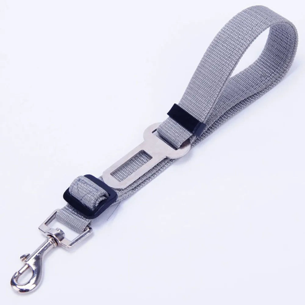 Ceinture de sécurité rétractable pour chien avec bande réfléchissante