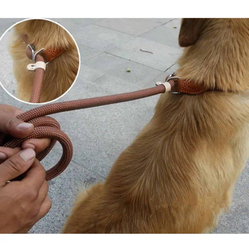 Laisse-collier chien - Corde tressée robuste avec boucle réglable pour grands chiens