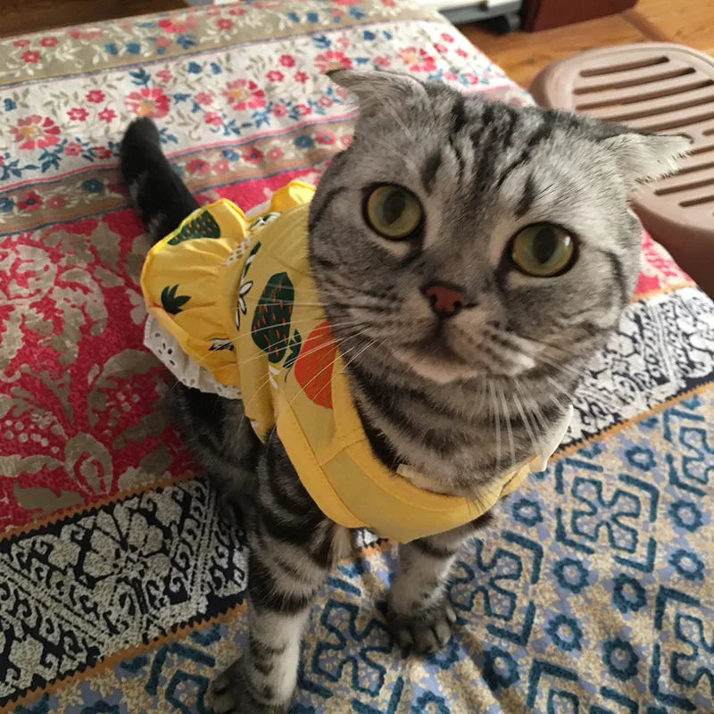 Cotton Print Dress for Cats & Small Dogs