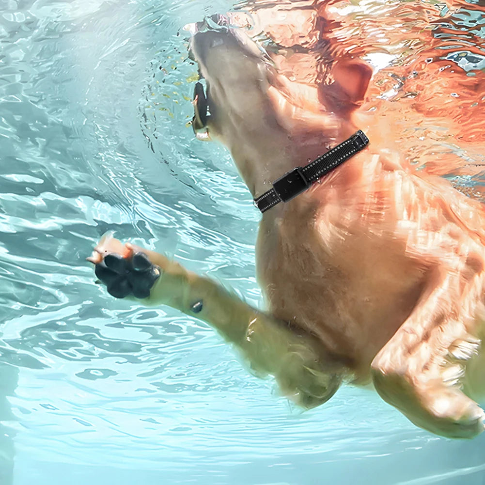 M10A 4G GPS Pet Tracker with Electronic Fence & Activity Tracking