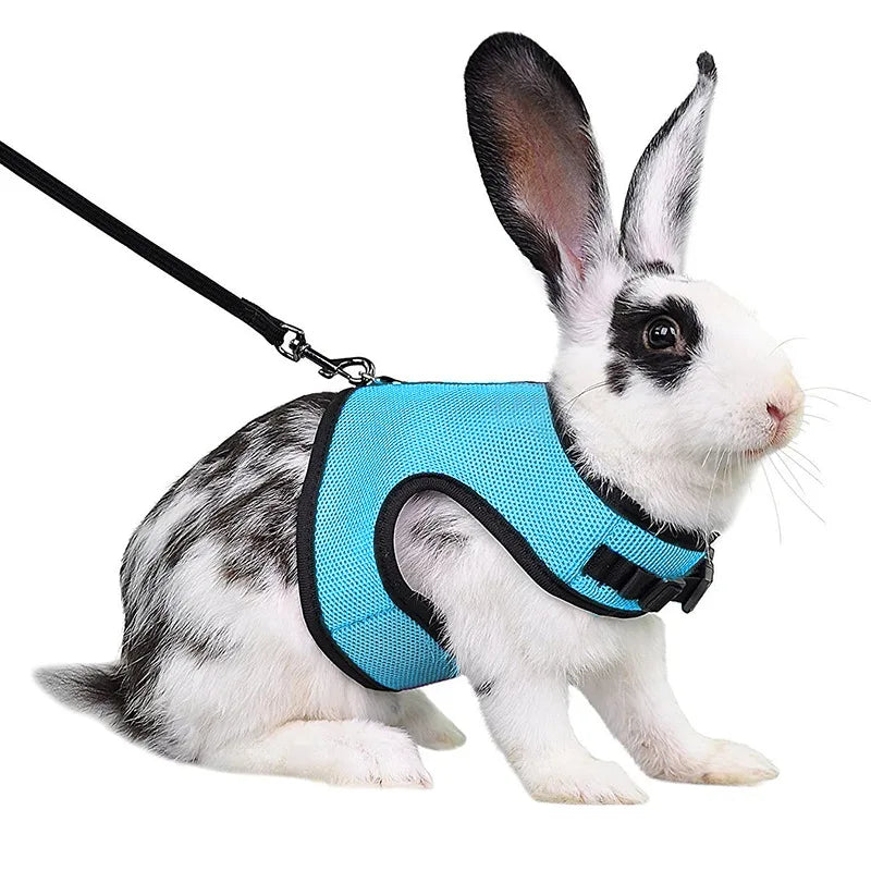 Mesh Breathable Harness & Leash Set for Rabbits, Ferrets & Small Pets