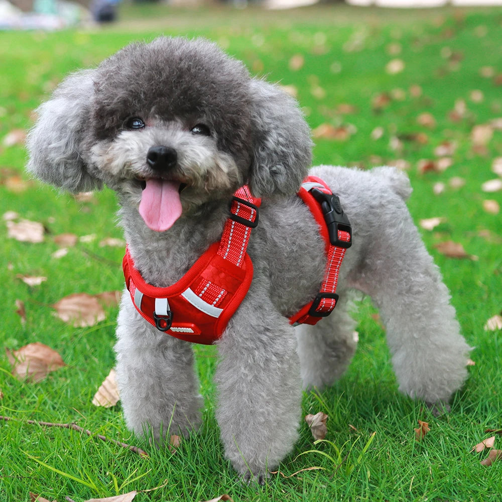Reflective No-Pull Dog Harness Vest with AirTag Holder