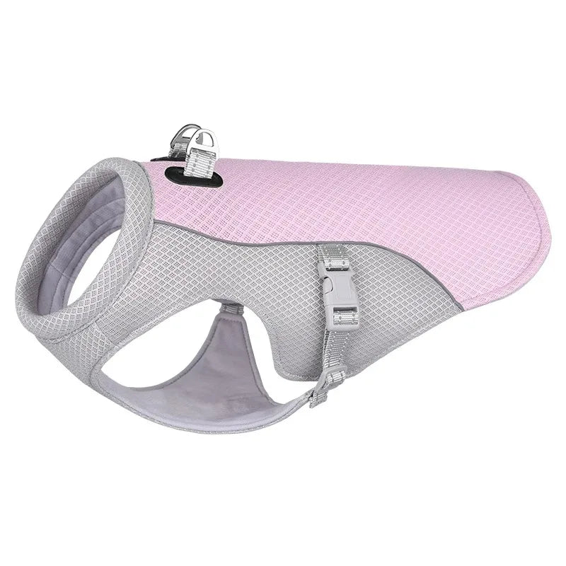 Harnais de poitrine pour chien avec laisse – Système complet de harnais pour animaux de compagnie