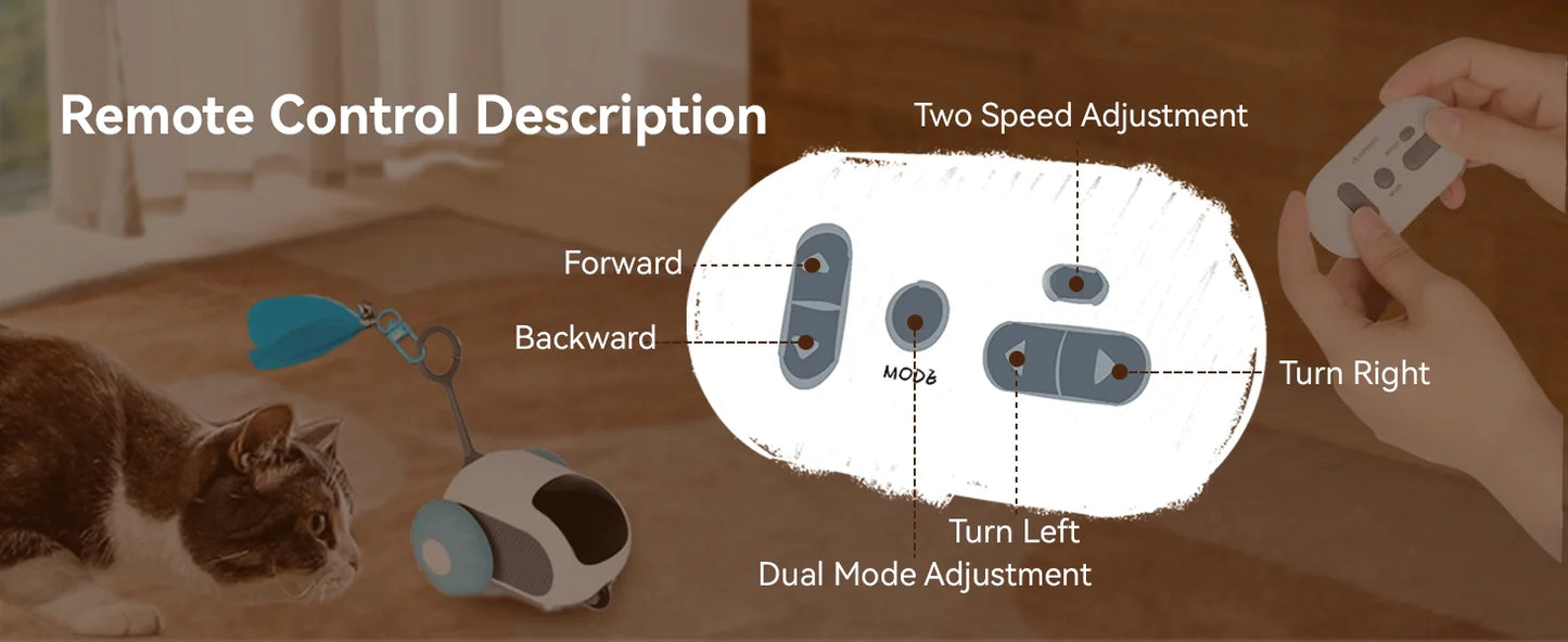 Remote Control Interactive Cat Toy