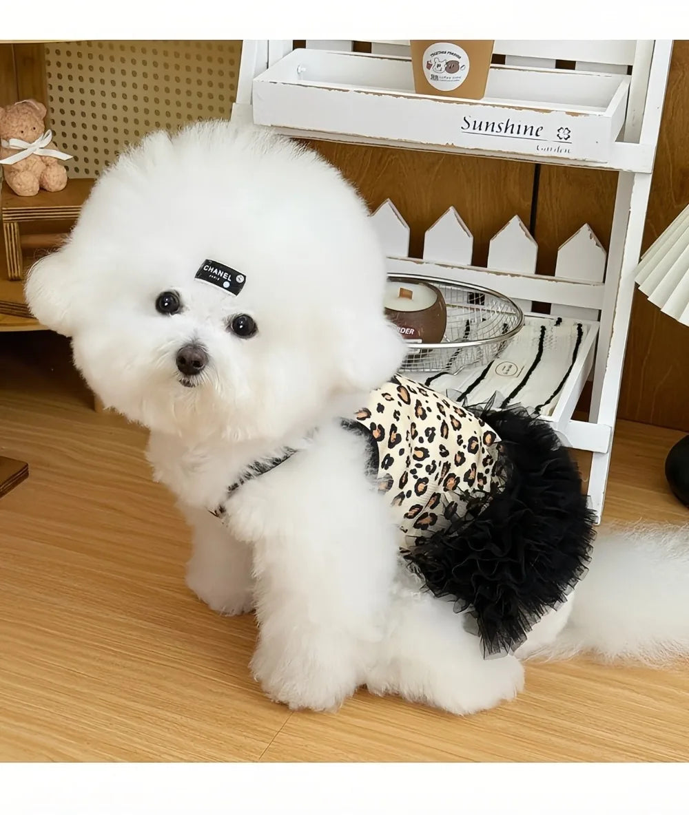 Leopard Print Mesh Slip Dress for Dogs & Cats | Summer Princess Dress for Puppies, Pomeranians & Sphynx Cats