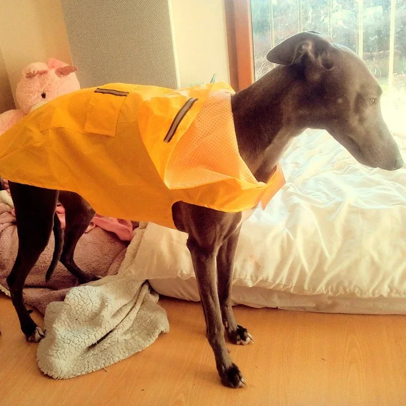 Waterproof Reflective Dog Raincoat with Hood – Sizes S to 6XL