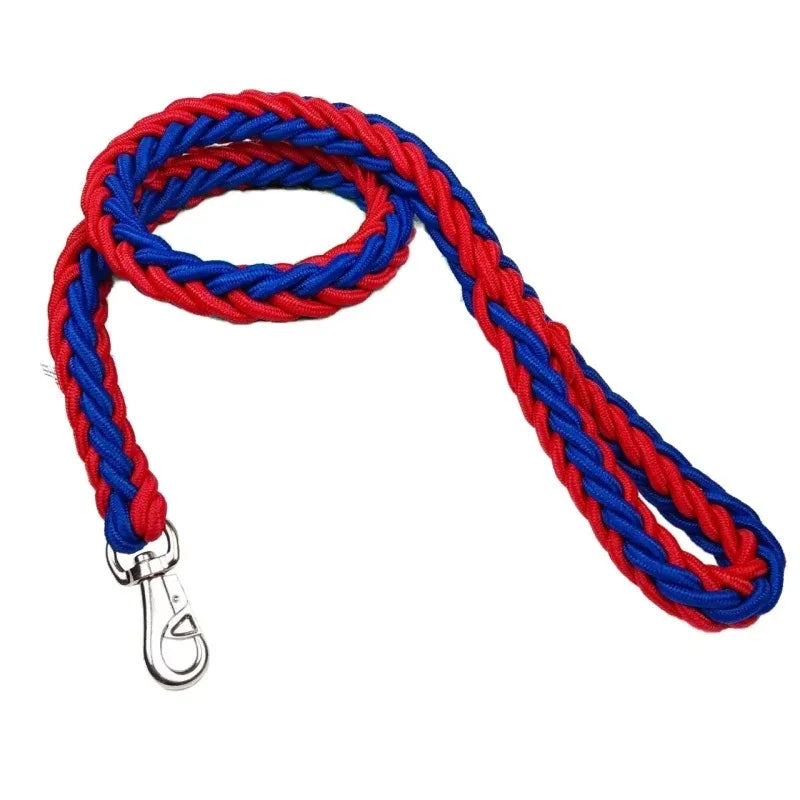 Ensemble laisse et collier pour chien avec gilet harnais