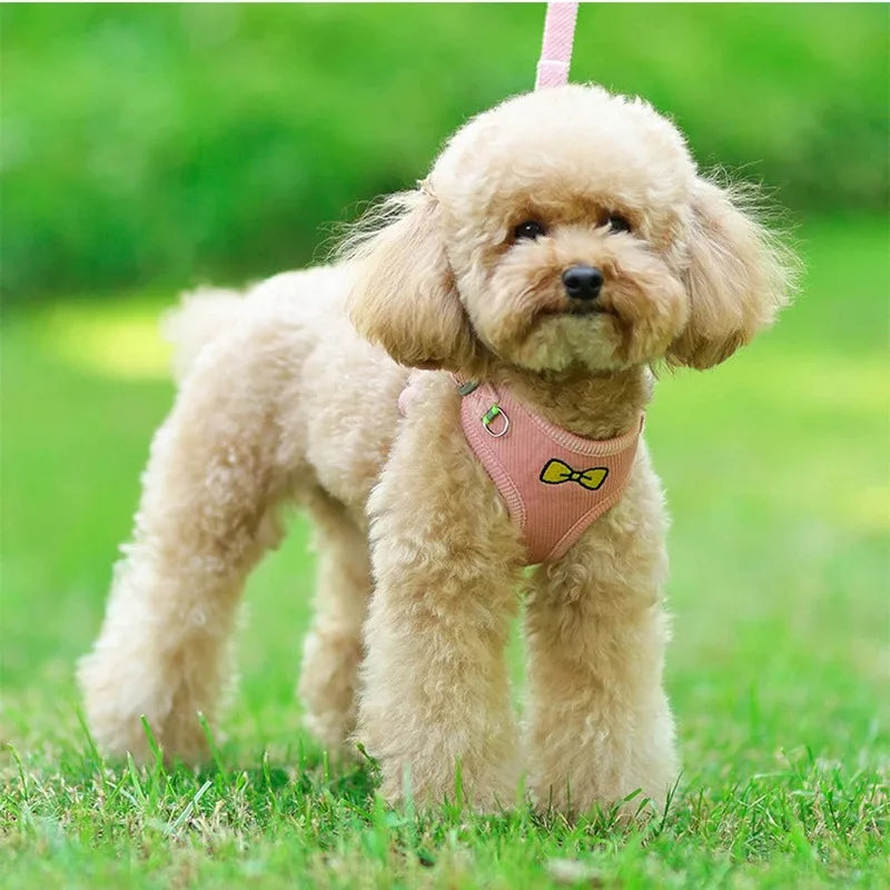Gilet Harnais Tactique pour Chien - Harnais Anti-Traction pour Chiens Petits à Grands