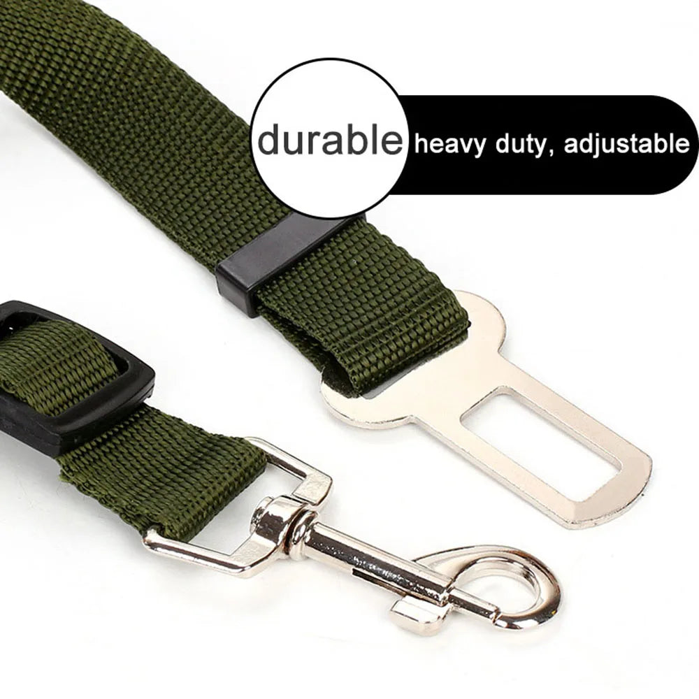Ceinture de sécurité rétractable pour chien avec bande réfléchissante