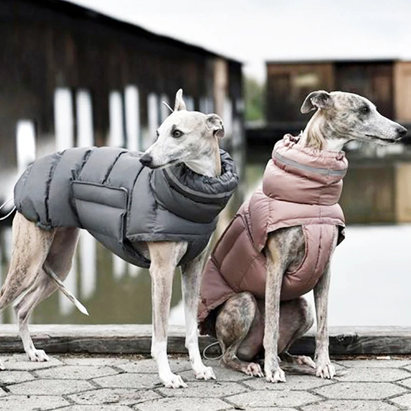 Windproof Winter Down Vest for Small Dogs