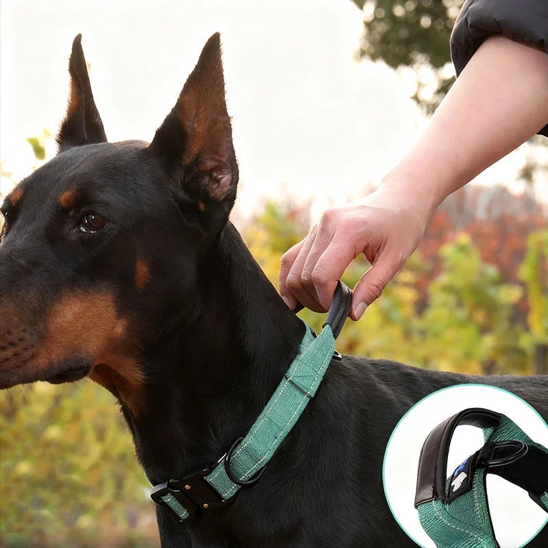 Tactical Dog Collar with Leather-Wrapped Leash Handle