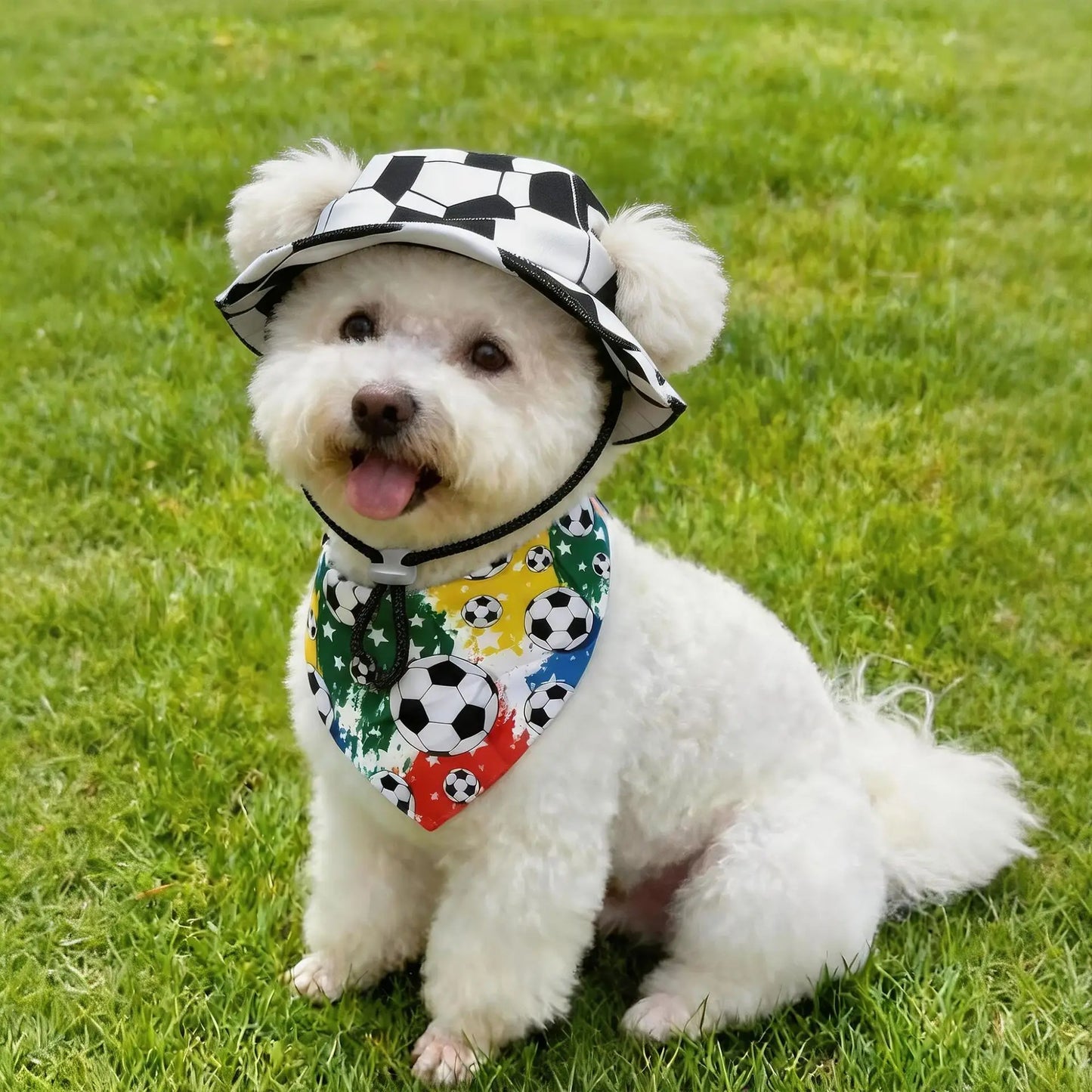 Football Fan Hat & Scarf Costume Set for Dogs & Cats