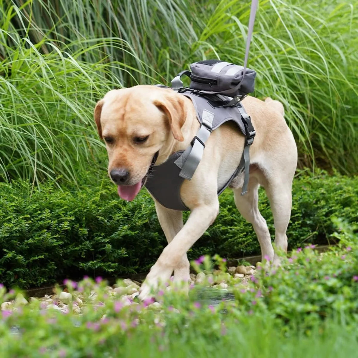 Harnais pour chien robuste avec sac à dos à poches latérales sécurisées