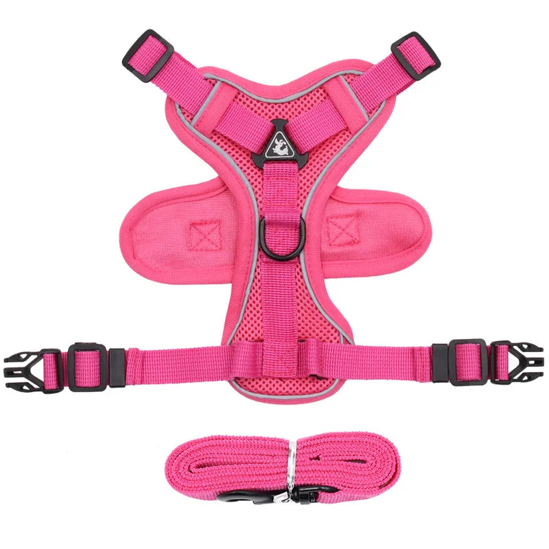 Reflective Mesh Cat & Dog Harness with Leash Set