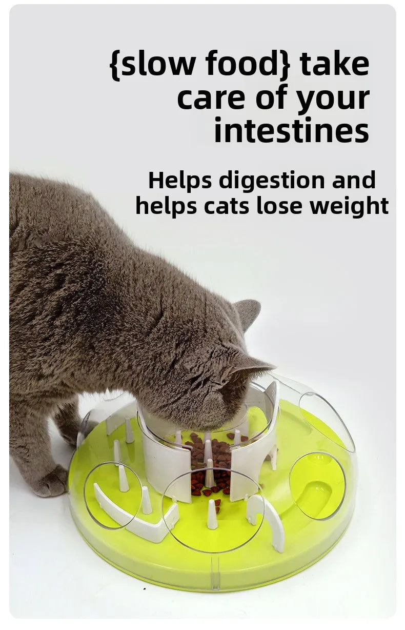 Interactive Cat Maze Puzzle Feeder