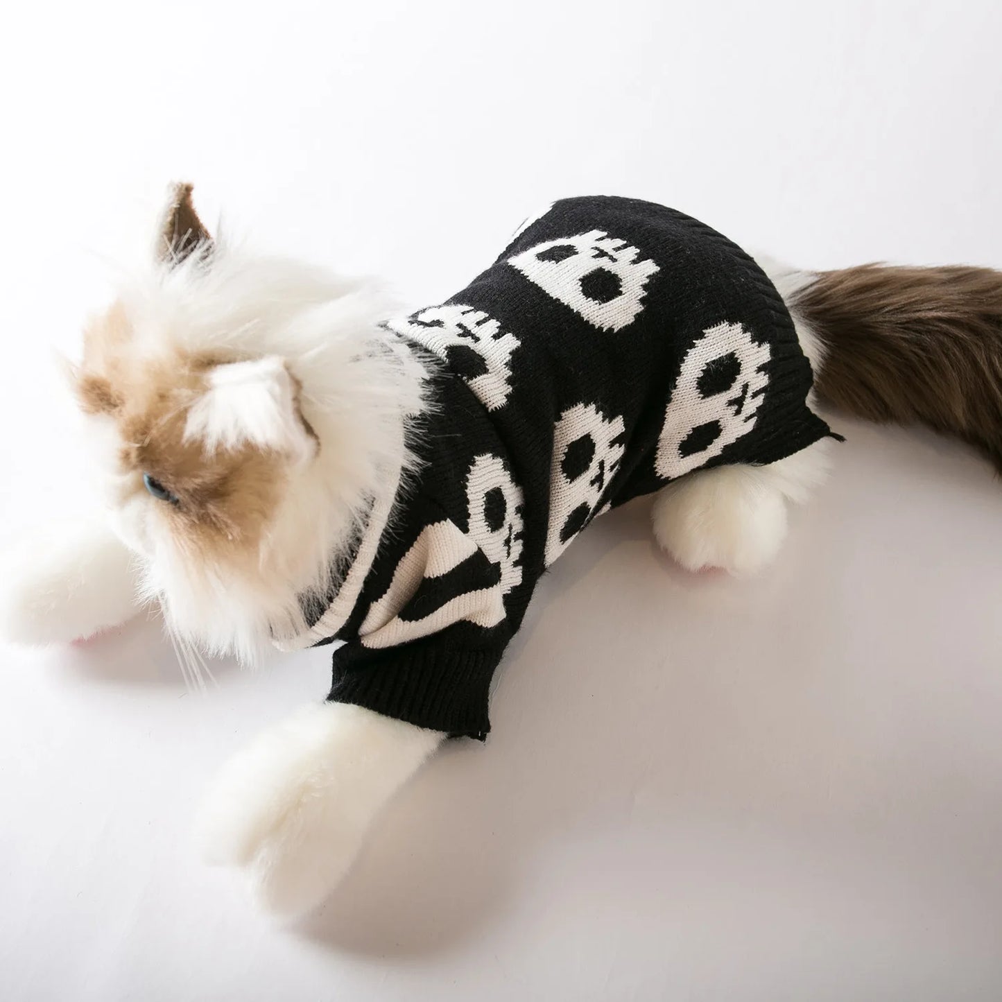Pull en tricot Crâne d'Halloween pour chats et chiens