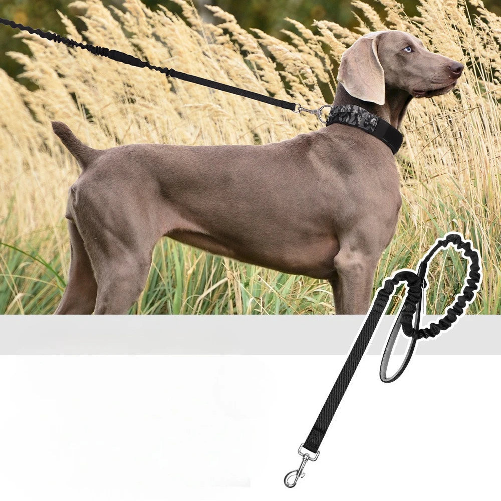 Heavy-Duty Bungee No-Pull Training Leash for Large Dogs