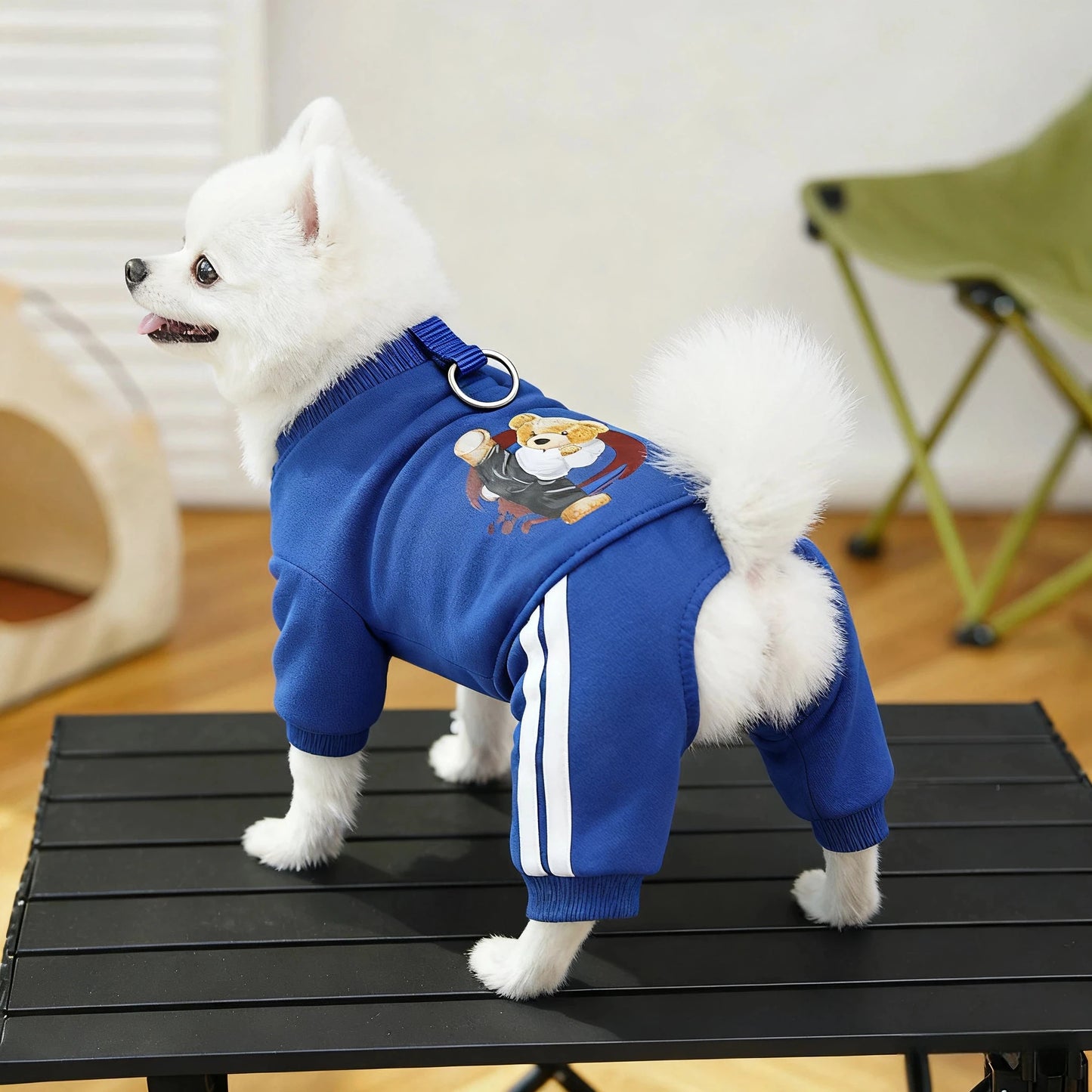Combinaison à capuche en polaire pour chien | Sweat-shirt chaud automne-hiver pour chiots, chats et petits chiens
