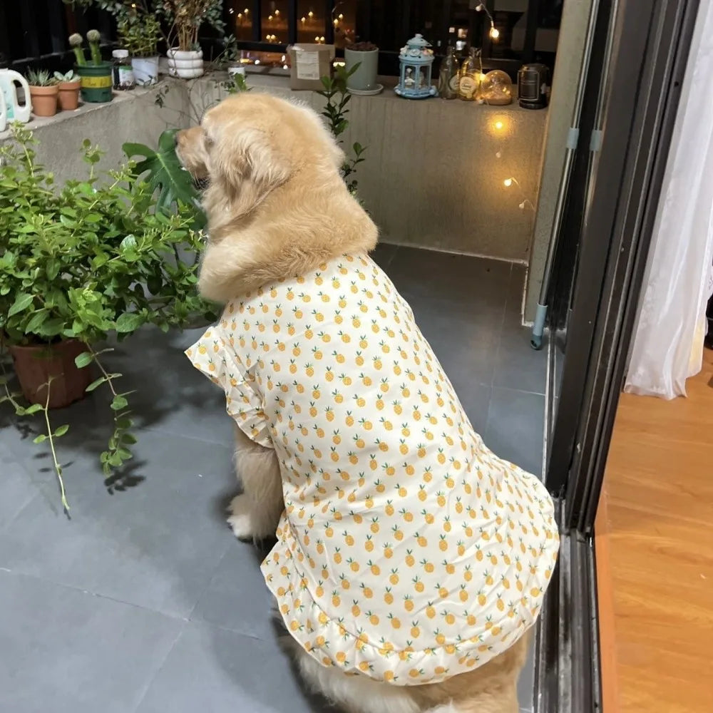 Robe de princesse rafraîchissante et gilet d'été pour chiens de taille moyenne et grande