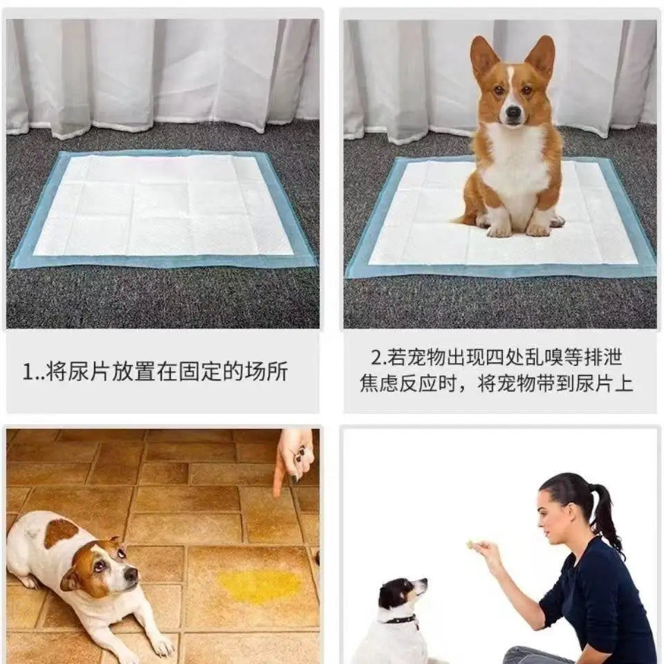 Disposable Puppy Training Pads — Absorbent Quick-Dry Pee Mats for Dogs
