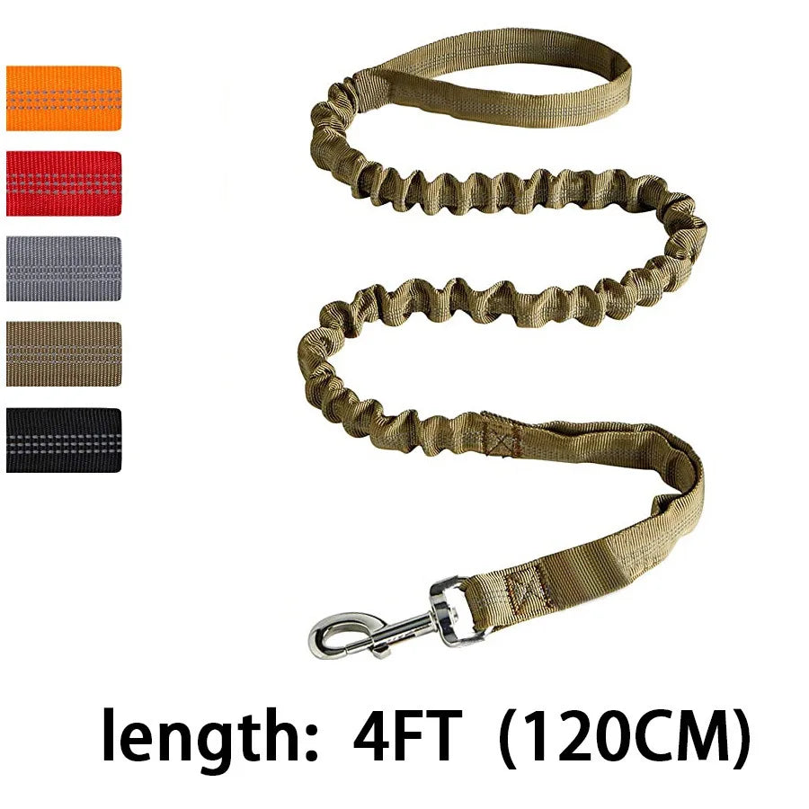 Laisse de dressage élastique antichoc pour chien