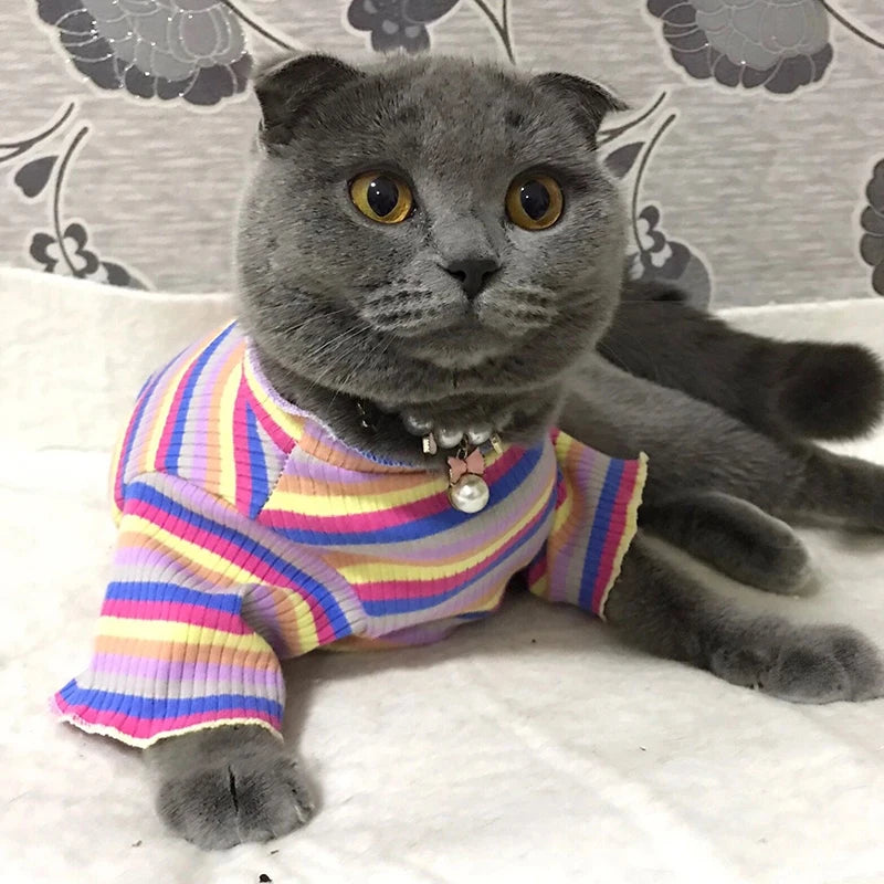 Cotton 100% Cat Dog Vest Summer Pet Clothes Stripe Pullovers for Small Dogs Cats Chihuahua Pomeranian Puppy Ropa Para Perros