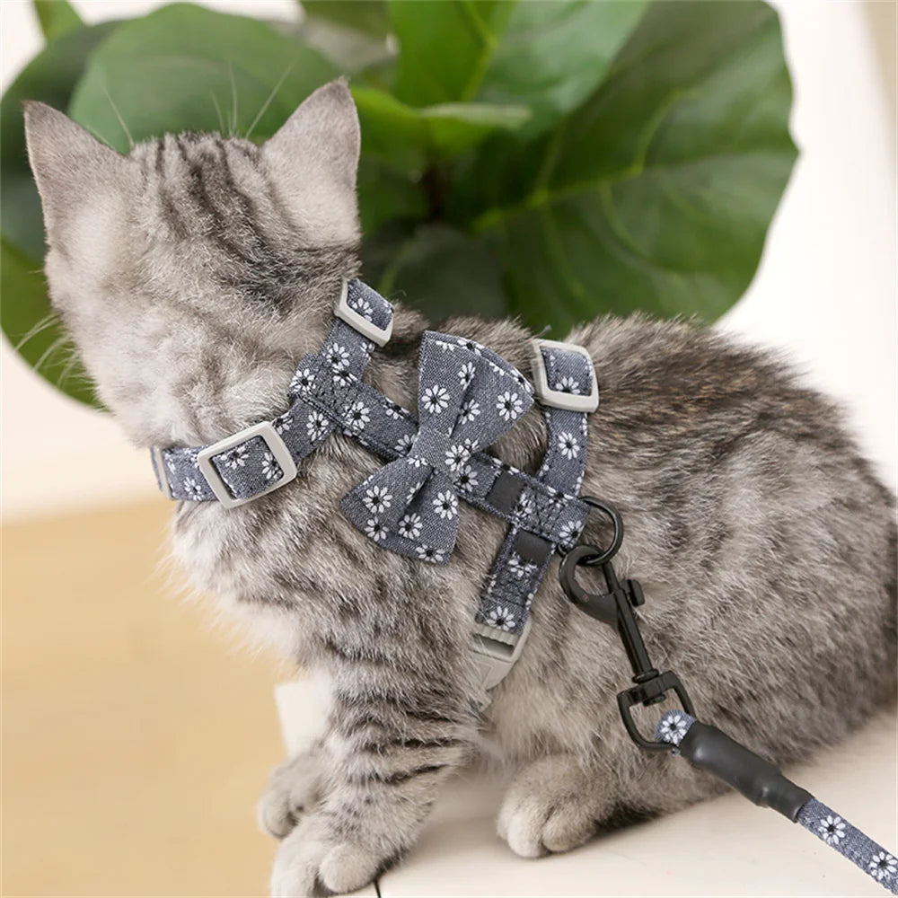 Floral Print Harness & Leash Set for Cats & Small Dogs