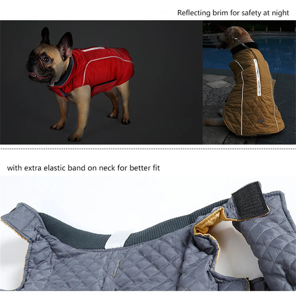 Warm Reflective Winter Jacket for Dogs — XS to 3XL