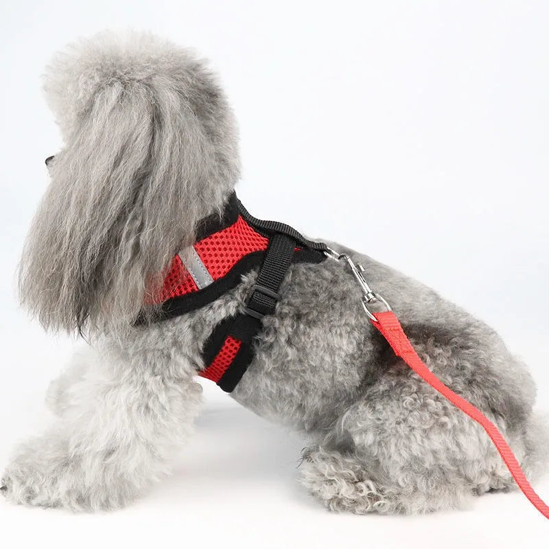 Harnais anti-évasion pour chat et chien avec laisse - Gilet en maille réglable pour la promenade