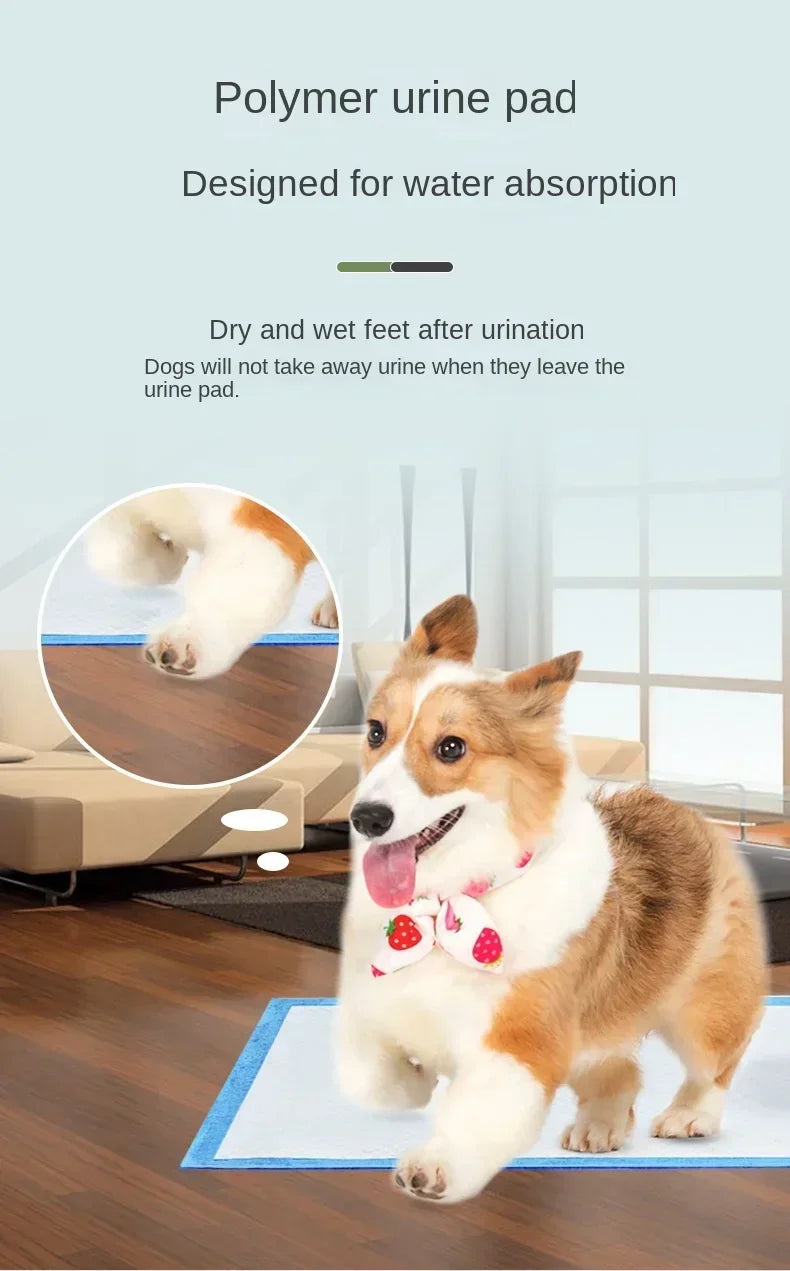 Super Absorbent Disposable Puppy Training Pads — Quick-Dry Surface for Fast, Clean Results