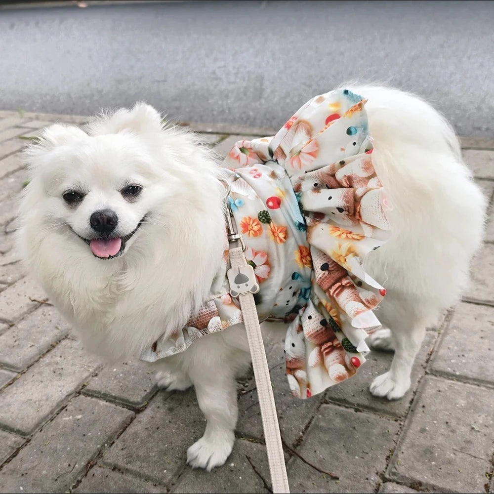 Lace Collar Dress for Cats & Small Dogs