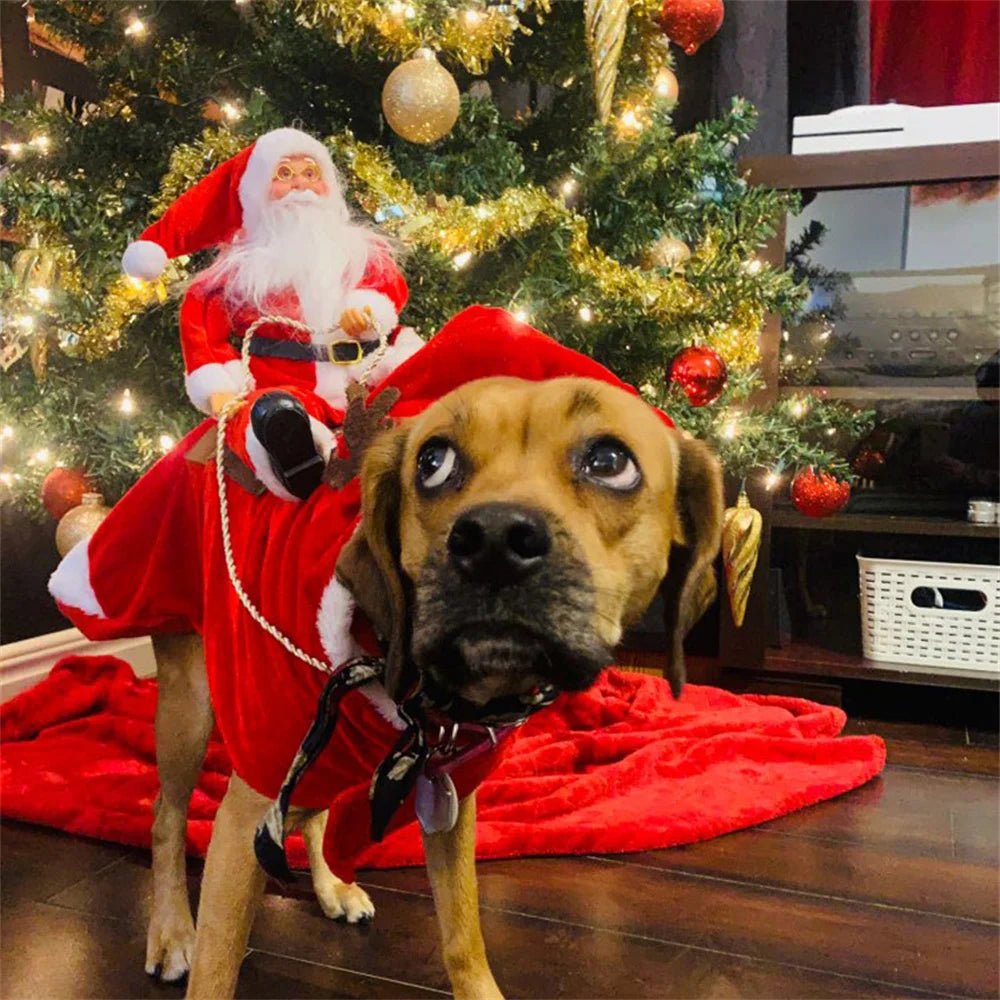 Christmas Santa Cloak Pet Costume