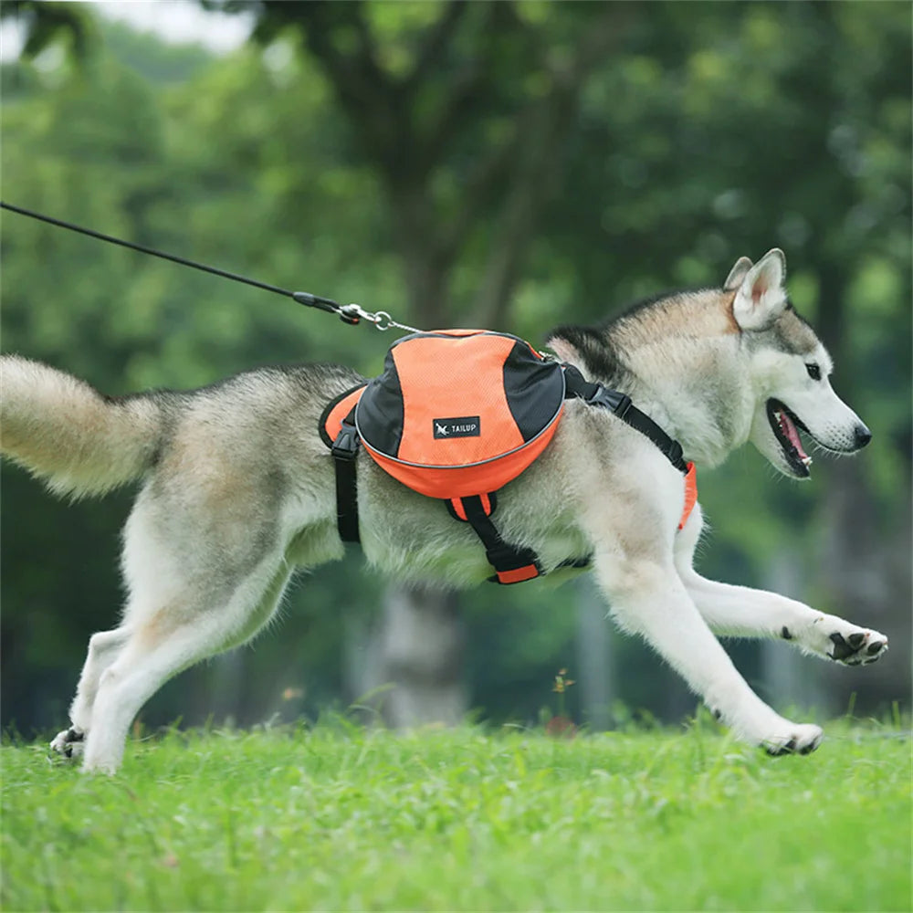 Reflective Dog Weight Training Harness Vest with Storage Pockets