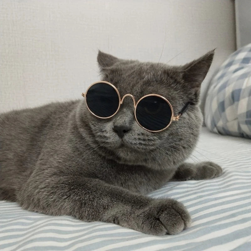 Mini Sunglasses for Cats & Small Dogs