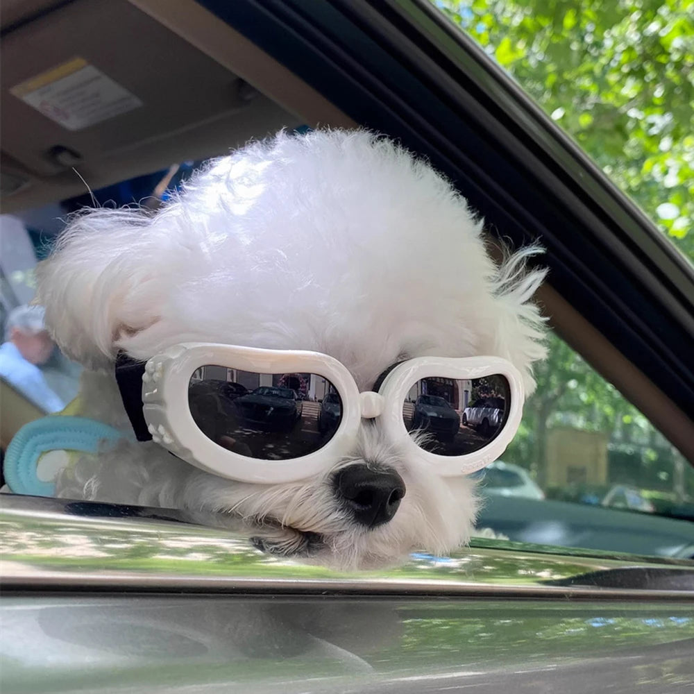UV & Windproof Sunglasses Goggles for Small Dogs & Cats