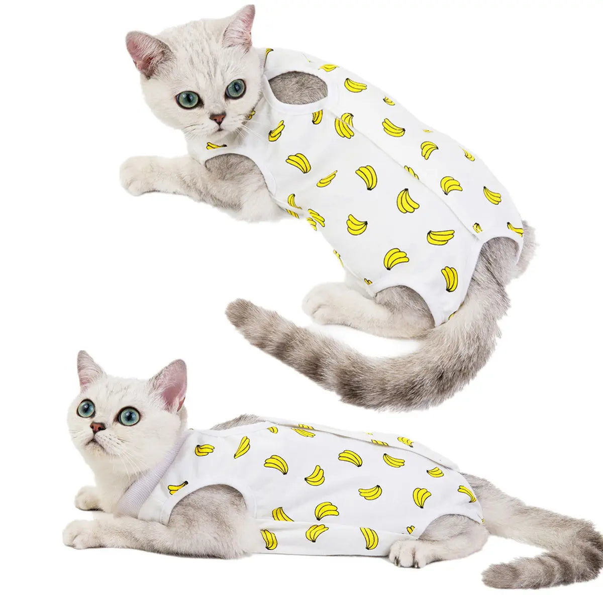 Combinaison de récupération post-opératoire pour chats et petits chiens