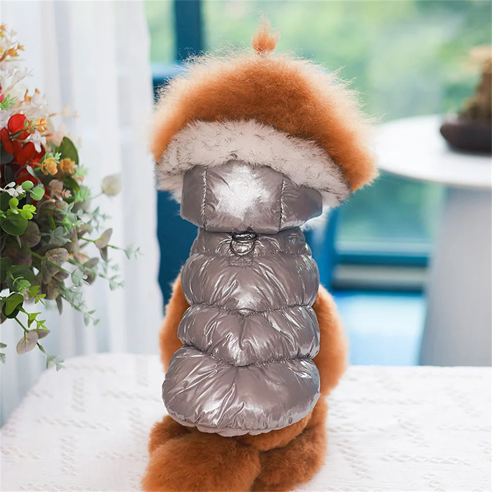 Winter Down & Fleece Dog Coat with Fur Collar for Small Dogs