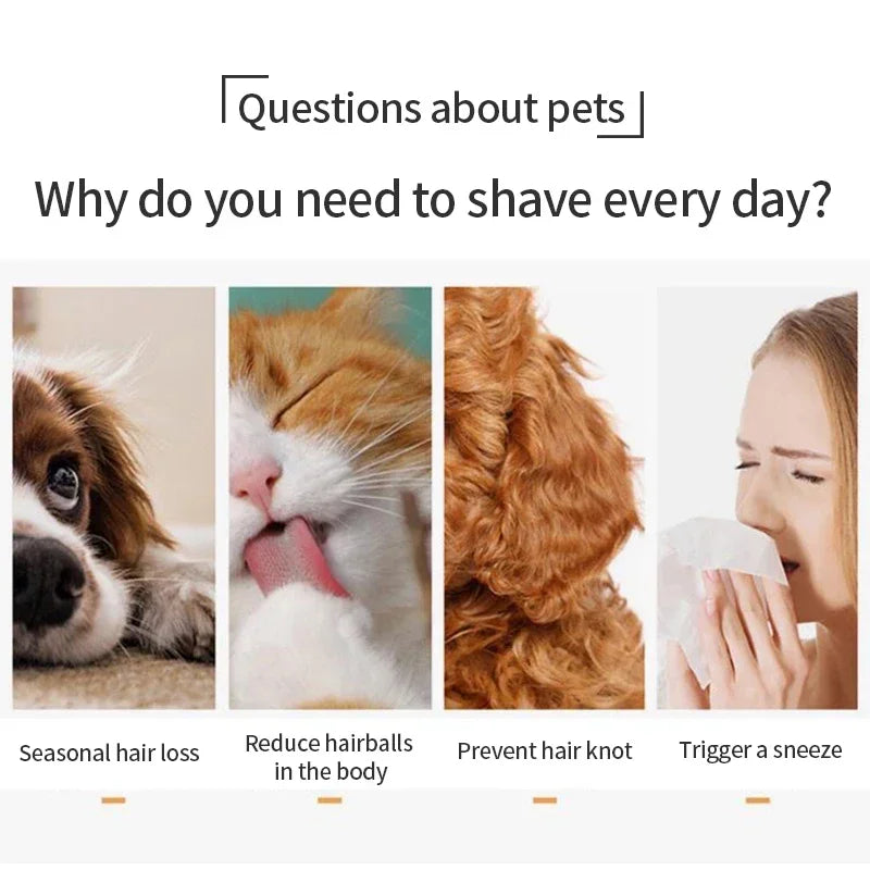 Brosse autonettoyante pour chats et chiens