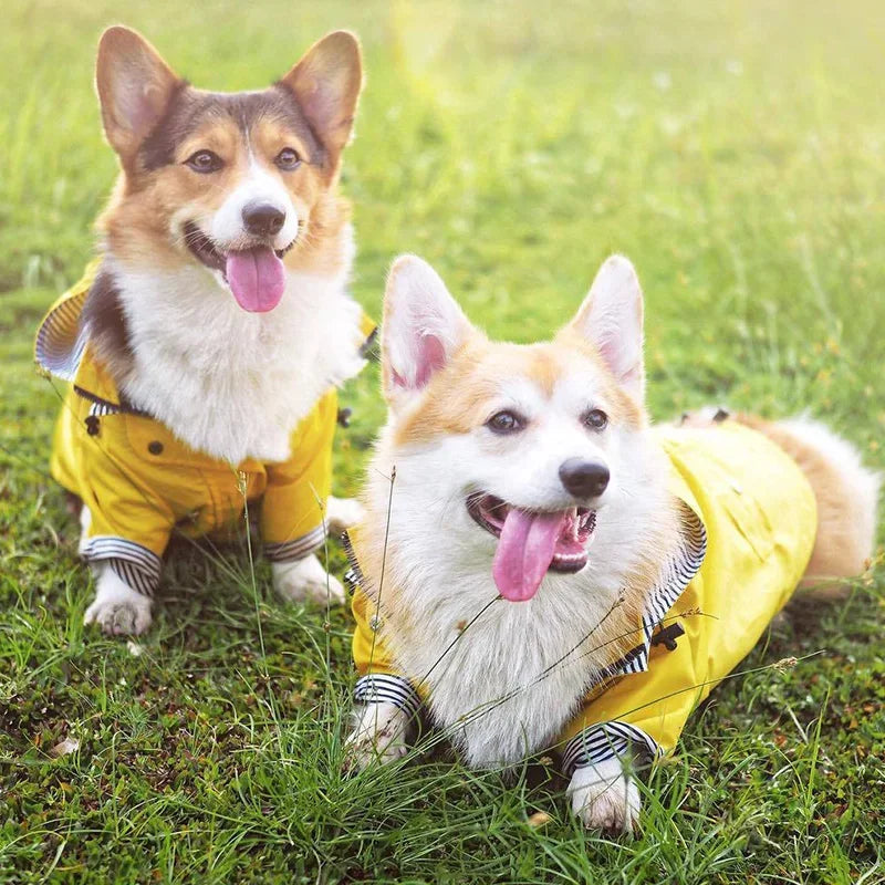 Waterproof Striped Raincoat for Dogs